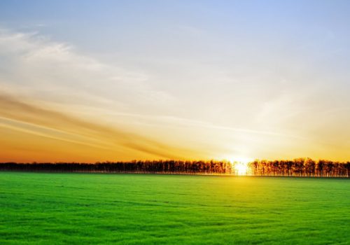 Toprak Islah Projesi