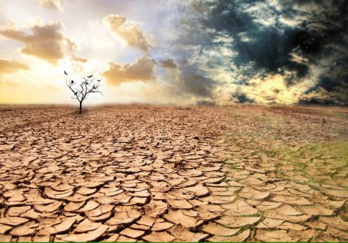 Toprak Koruma ve Arazi Kullanım Projesi